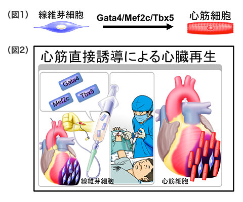 イメージ画像